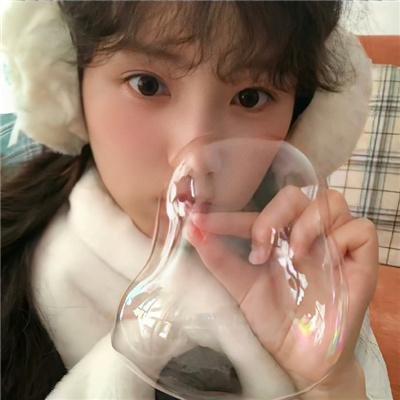真情玫瑰